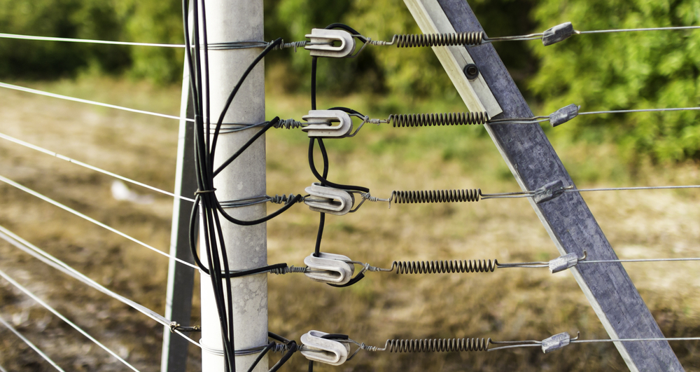 Comment installer une clôture électrique - Le blog de Mon Magasin Général
